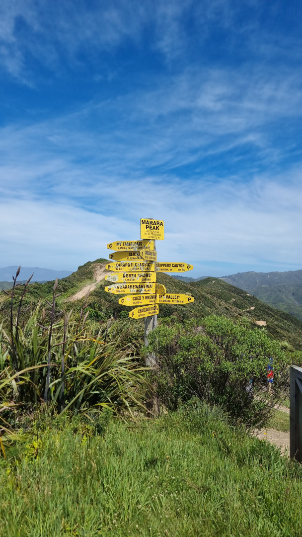 Mākara Peak