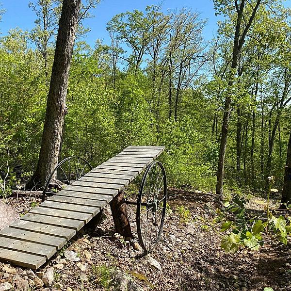 Shepherd Mountain Bike Park photo 3