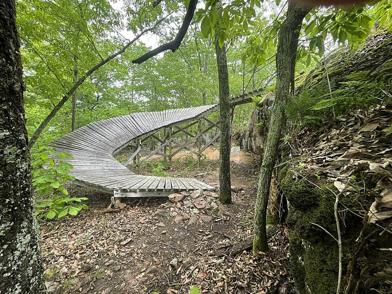 Shepherd Mountain Bike Park photo 4