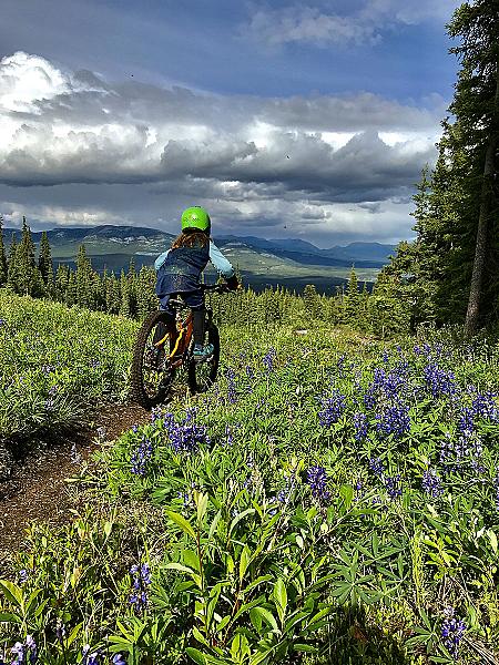 Mount Sima Bike Park photo 2