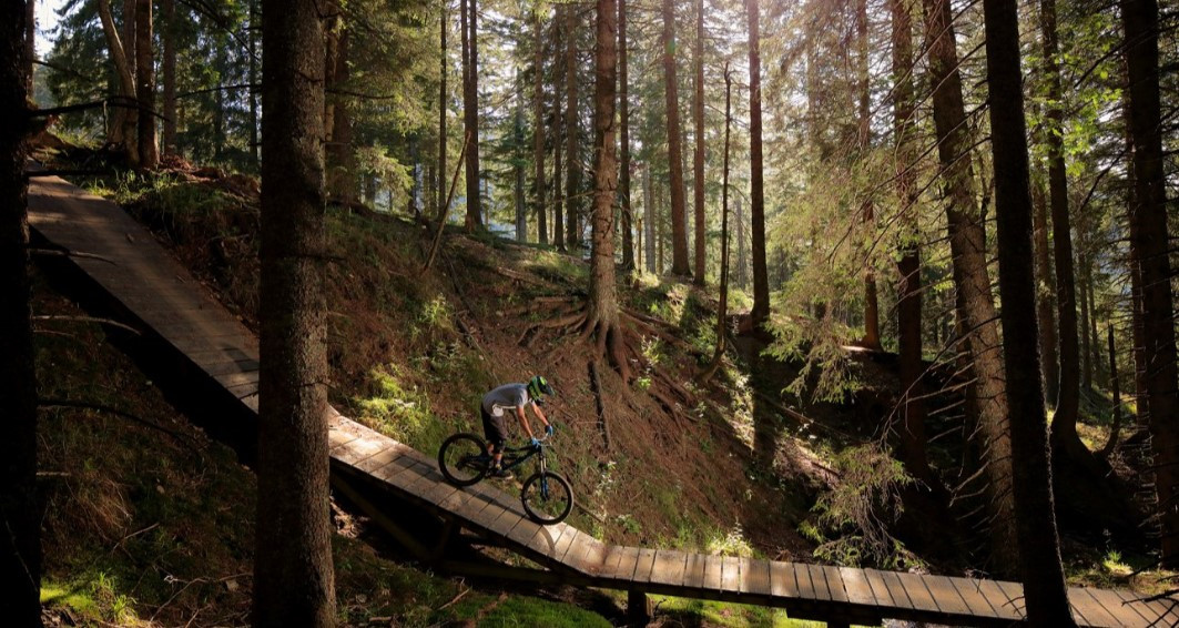 Rogla Bike Park