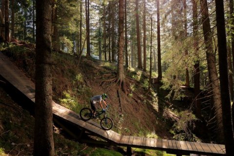 Rogla Bike Park
