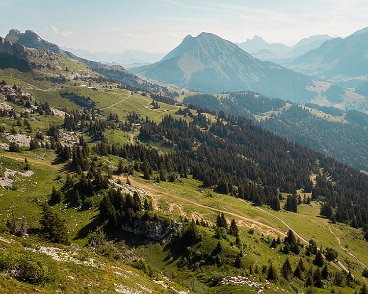 Leysin Bike Park photo 4