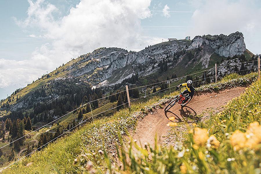 Leysin Bike Park photo 8